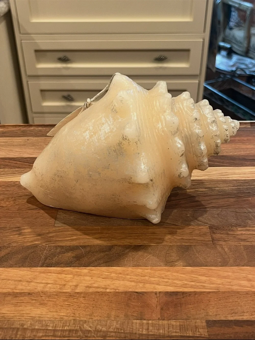 Classic Chesapeake Bay Candle co large Cream and silver Conch Shell candle. NEW!